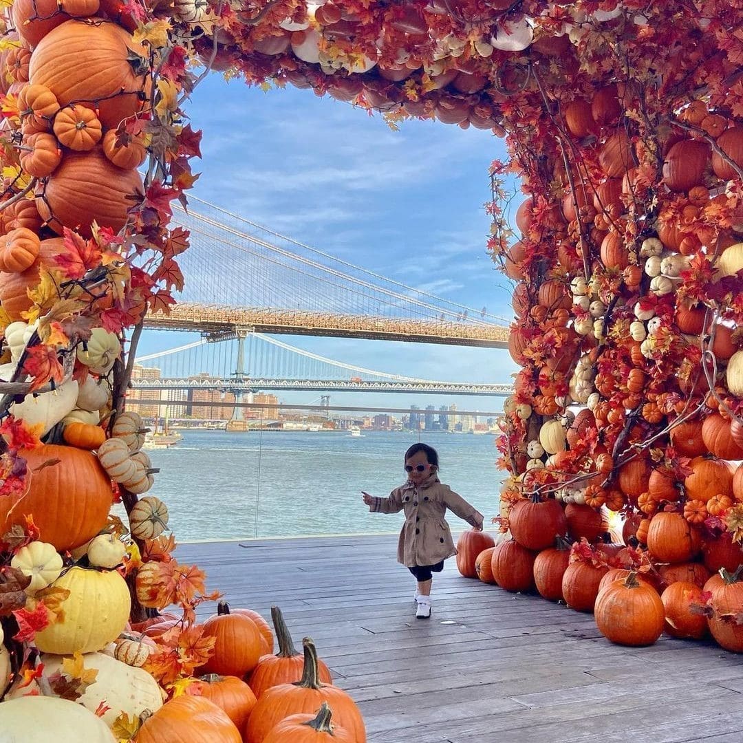 Just pumpkin my way through... don’t miss your chance to catch a shot through the end of November. 
📸: @vzavik
