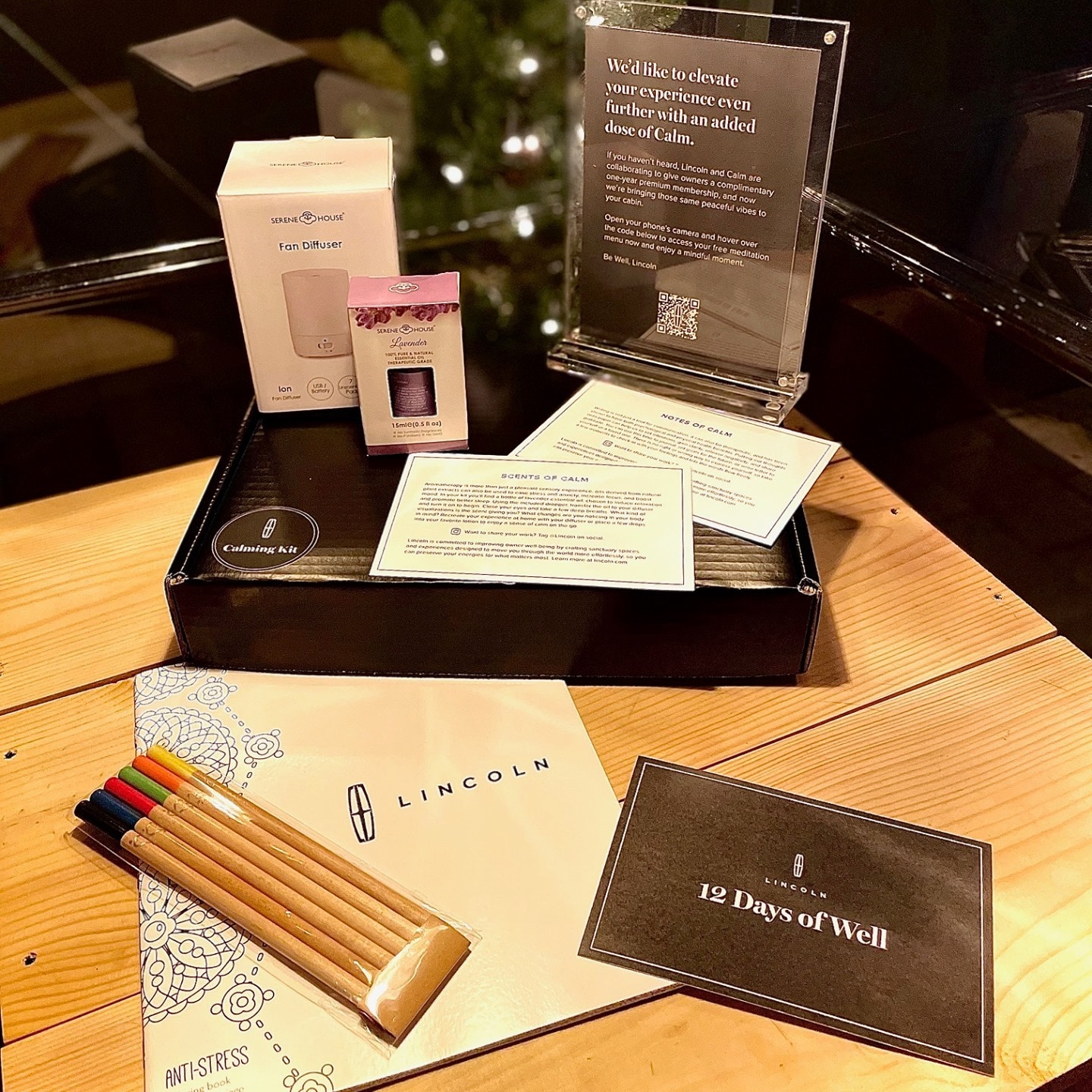 This holiday season our friends at @lincoln are bringing 12 Days of Well to the Seaport. Through Dec 13, guests of #TheGreens at @pier17ny will receive the ultimate wellness essentials. Keep an eye on our channels for other ways #Lincoln is spreading holiday cheer.