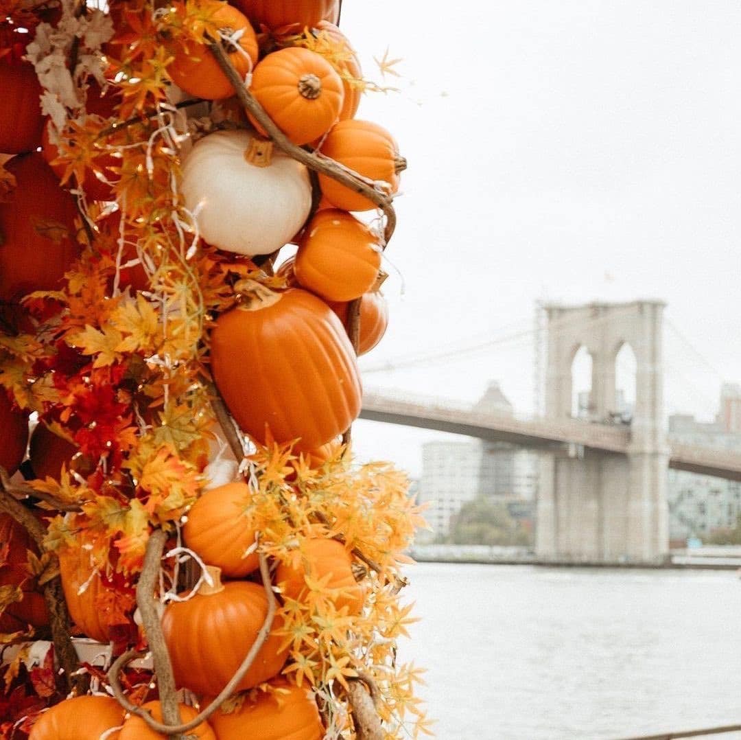 Costumes. Candy. Cobblestones. Halloween weekend ✶ Oct. 30 & Oct. 31 Details ➤ Link in bio.  @kliggsphotos