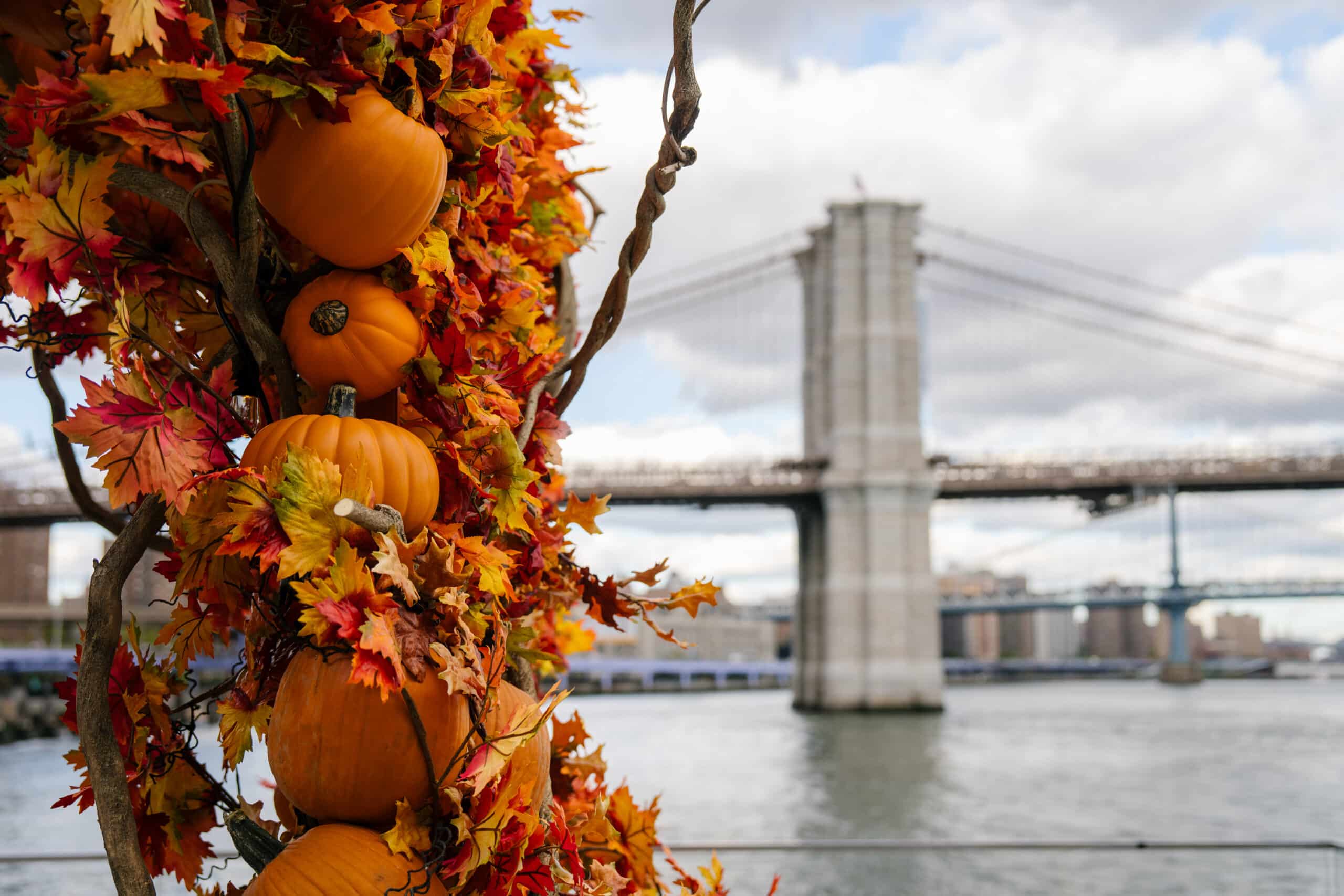 Pumpkin Arch The Seaport