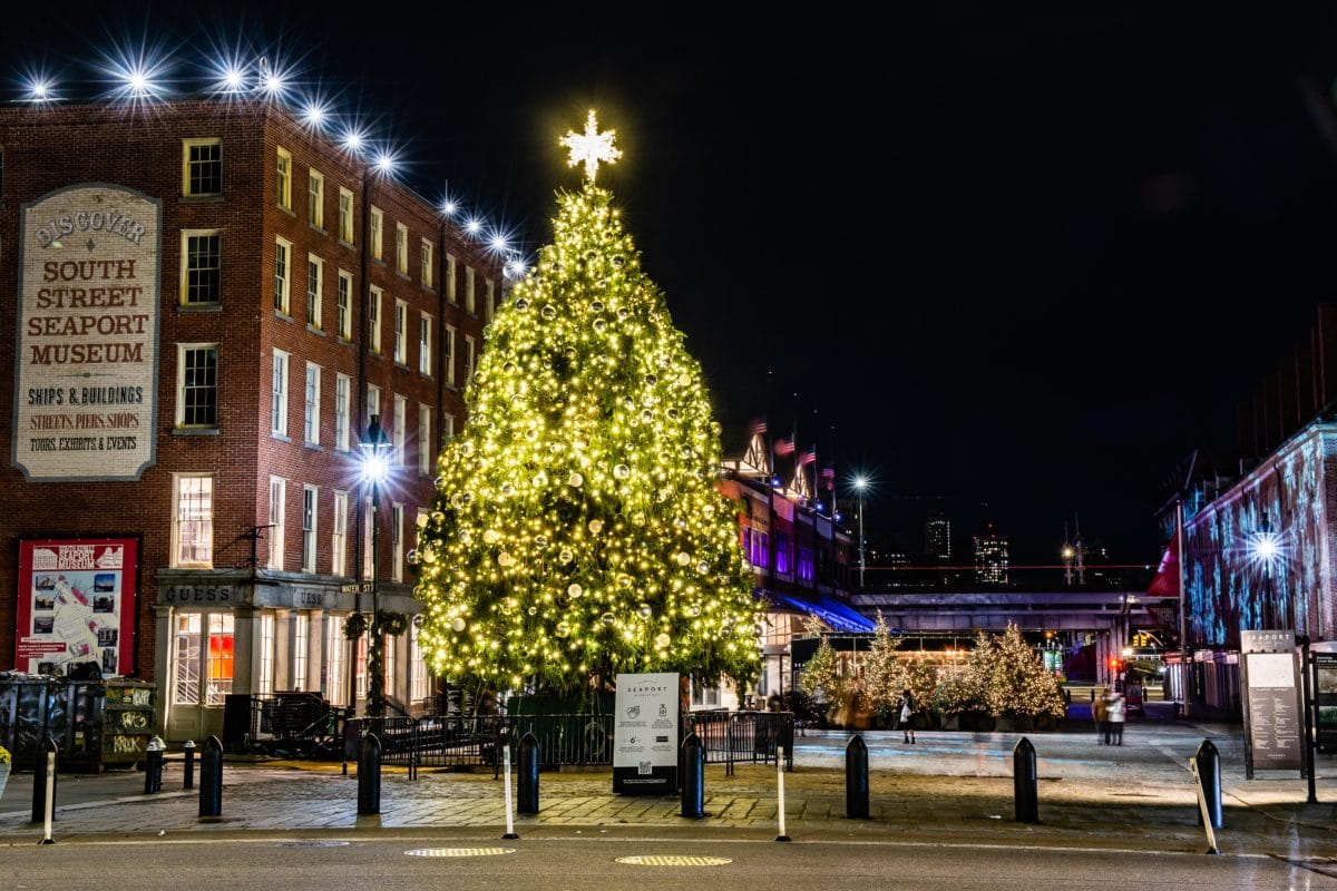 Christmas tree in the Seaport at night