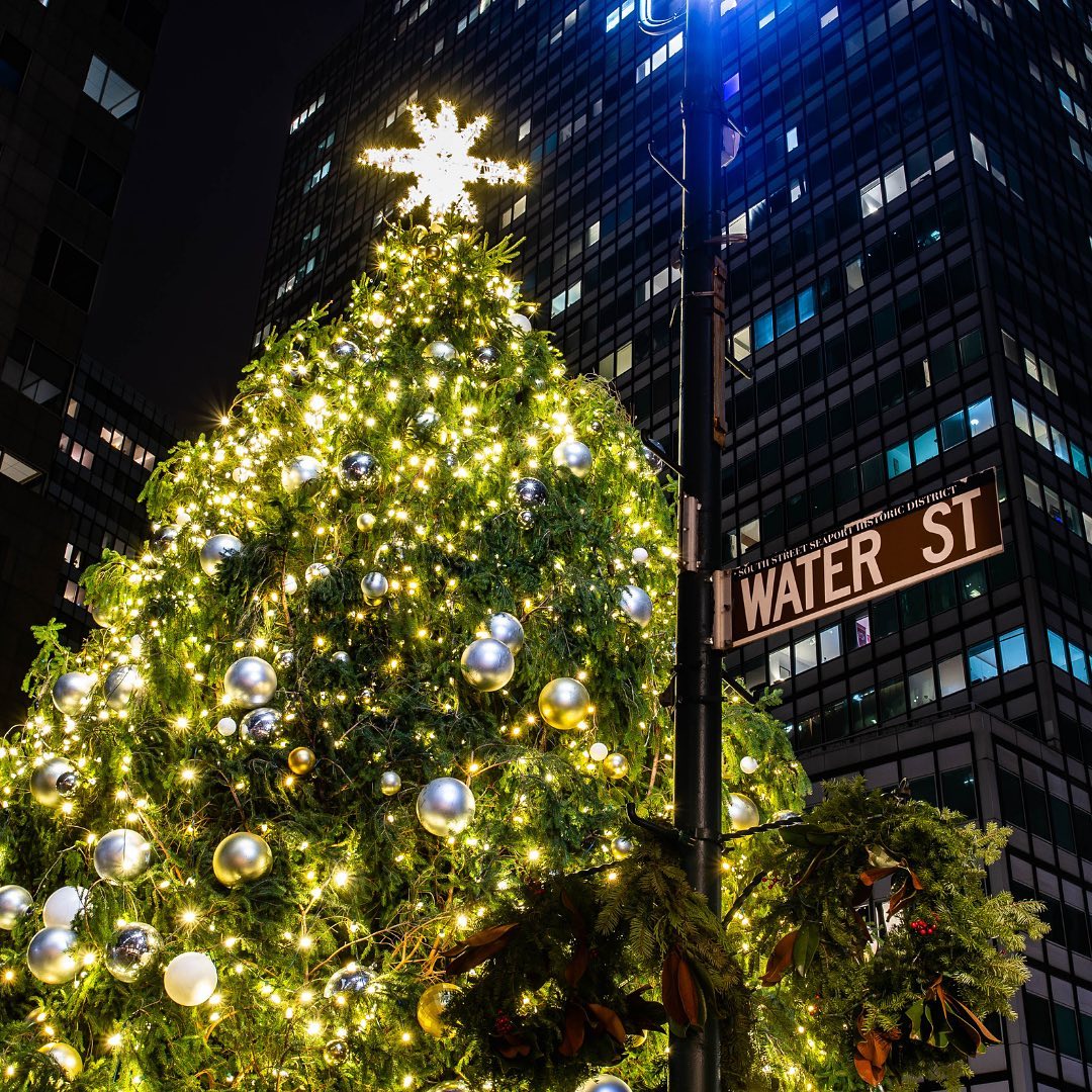 Tonight’s the night. An evening filled with all things merry. Annual Tree Lighting ✧ 5pm. More info ➤ Link in bio. #TheSeaport