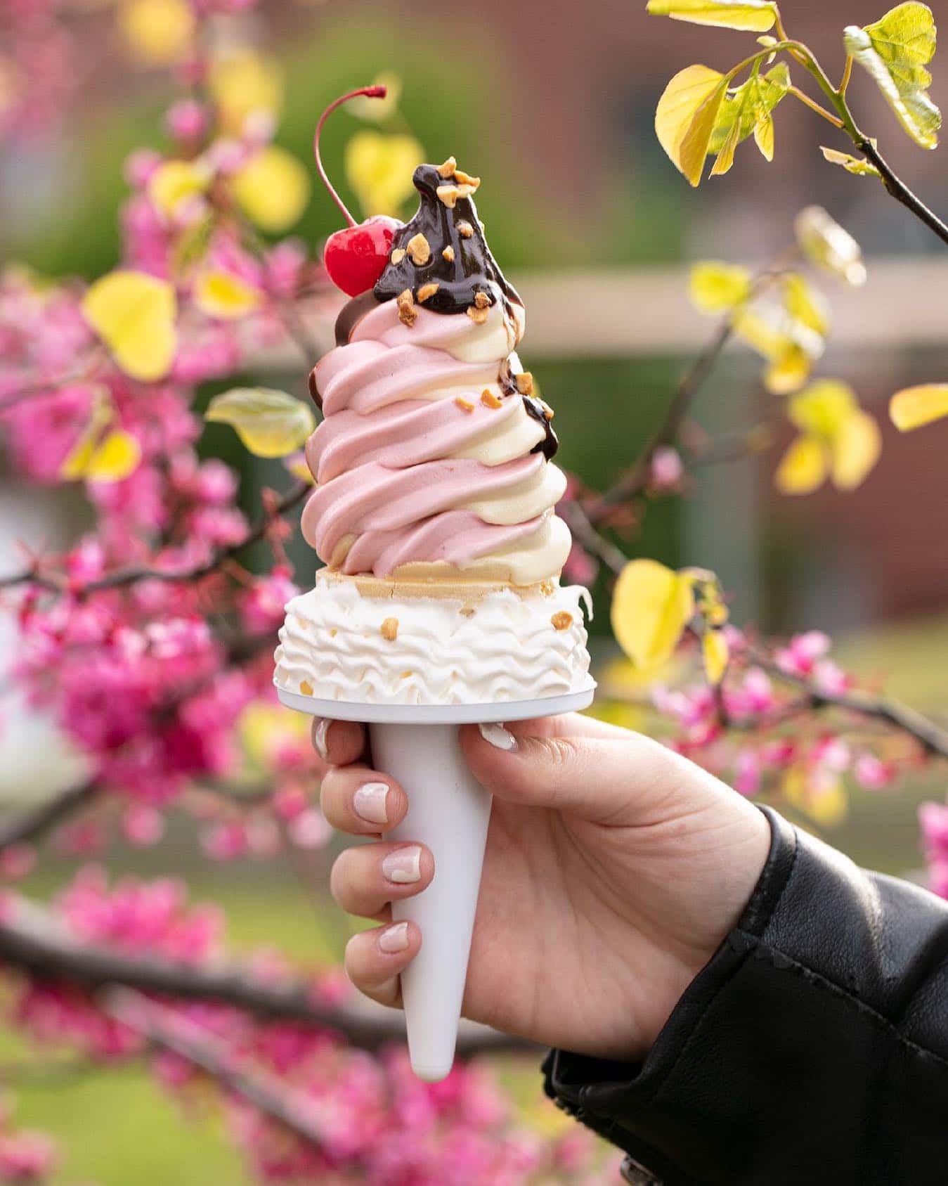 Lickety Split. This month’s must-have soft serve. See for yourself @eatmisterdips #TheSeaport
