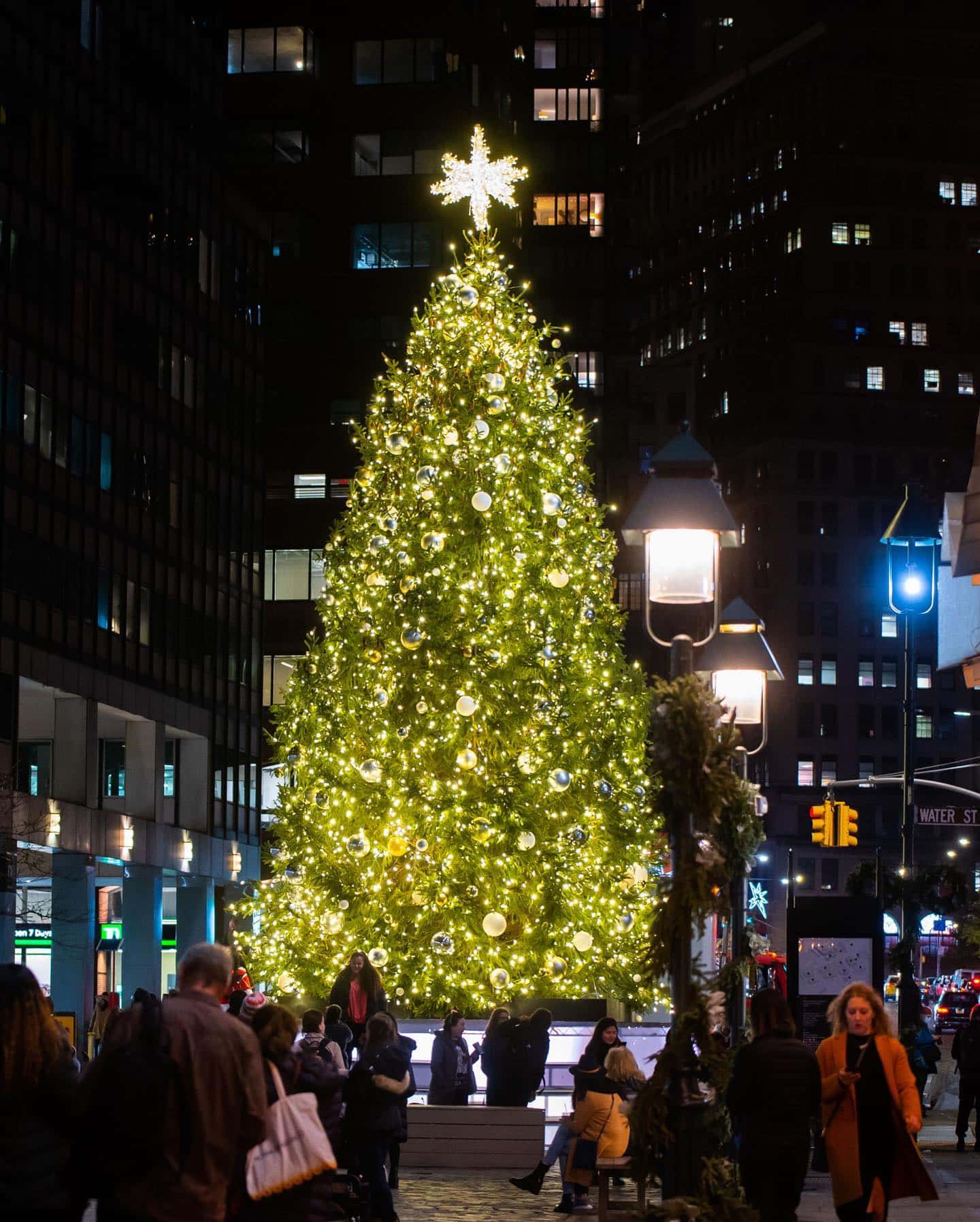 Holiday cheer. The streets all aglow. Live music. Festive fun. It’s almost time to make merry. Save the date for Holiday Tree lighting🖤 

Nov. 29 | 5pm
Details ➤ link in bio.