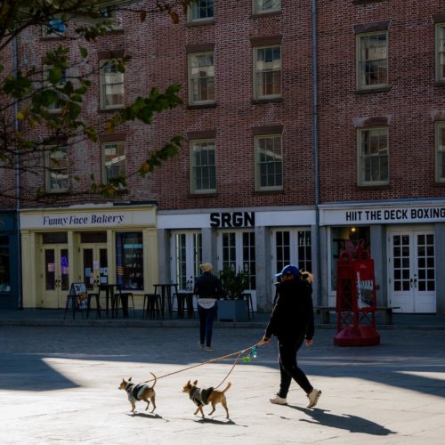 neighborhood strolling with dogs on the cobblestones at the Seaport