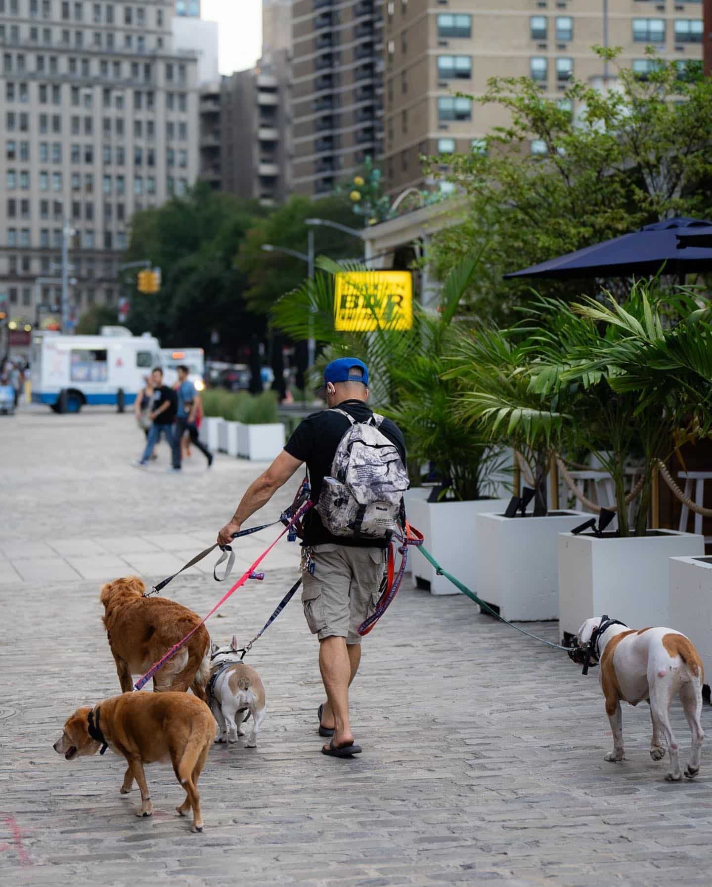 Rain or shine. Time for a stroll. Furry friends welcome. Get Lost. Find New York. #TheSeaport
