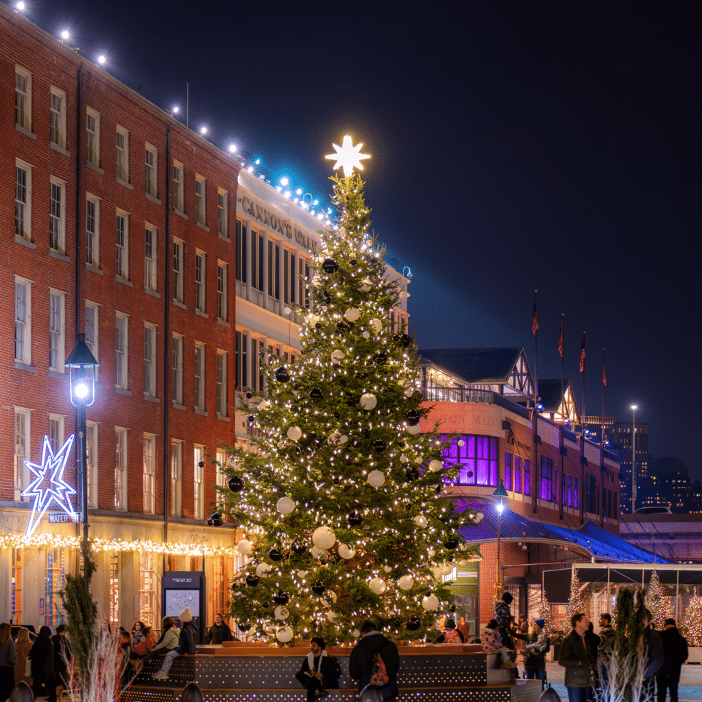 Holiday Tree at the Seaport