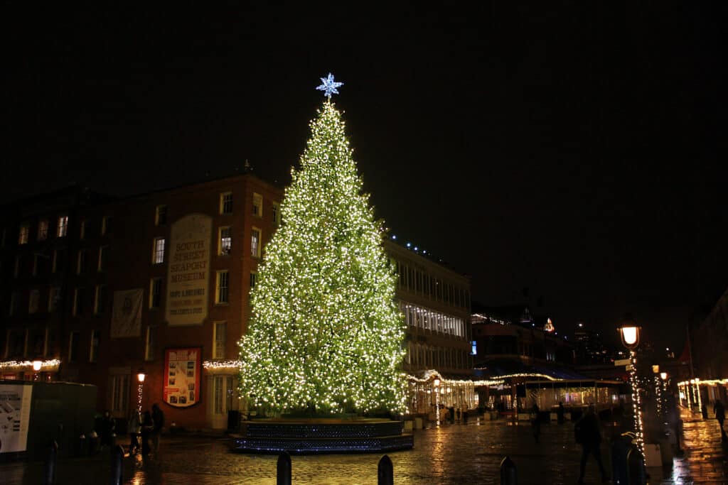 holiday tree at the seaport