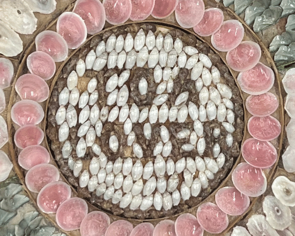 valentine like a sailor at south street seaport museum