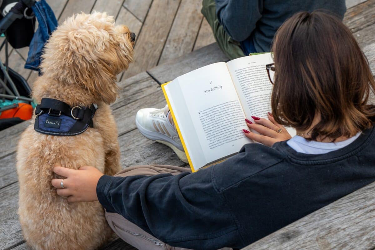 Lit Club x Seaport: Book Swap