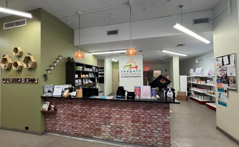seaport animal hospital