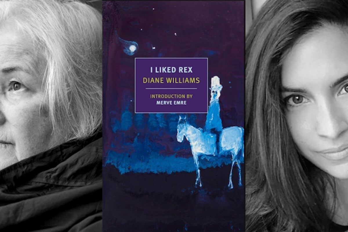 Diane Williams & Merve Emreat McNally Jackson